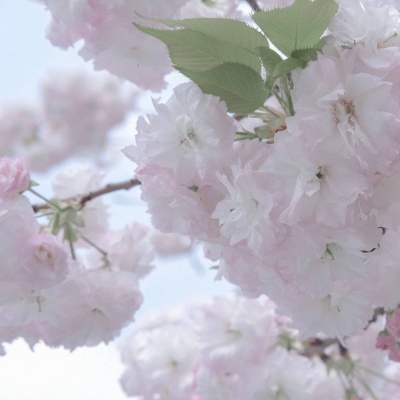 宁德FurryQQ群介绍